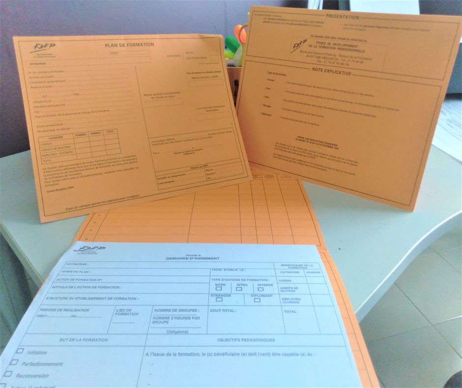 PLAN DE FORMATION FDFP